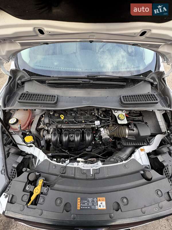 Внедорожник / Кроссовер Ford Escape 2017 в Сумах фото 28 Внедорожник / Кроссовер Ford Escape 2017 в Сумах