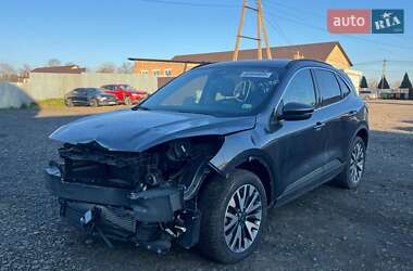 Внедорожник / Кроссовер Ford Escape 2020 в Луцке