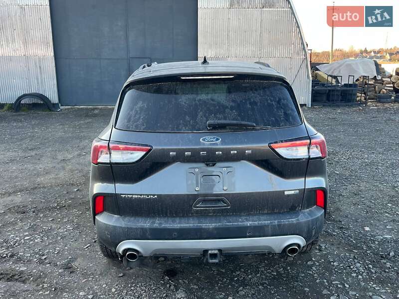 Позашляховик / Кросовер Ford Escape 2020 в Луцьку