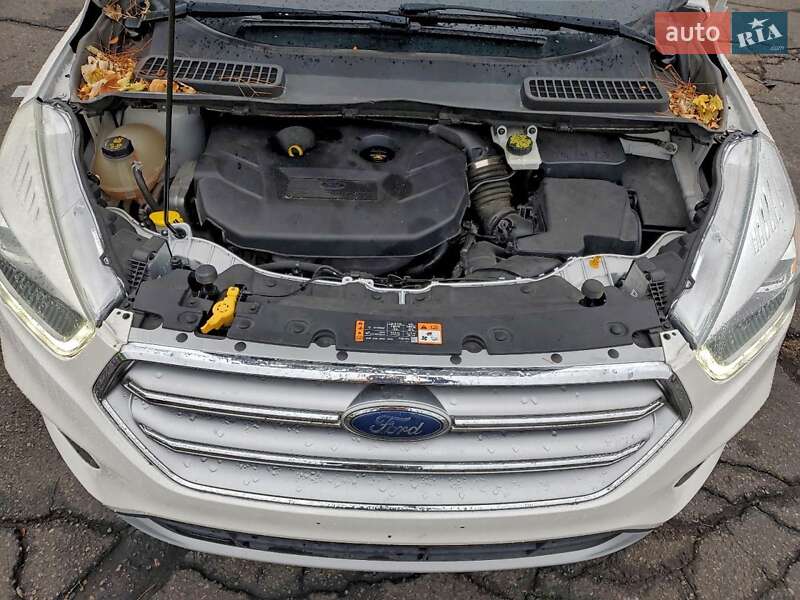 Внедорожник / Кроссовер Ford Escape 2017 в Житомире