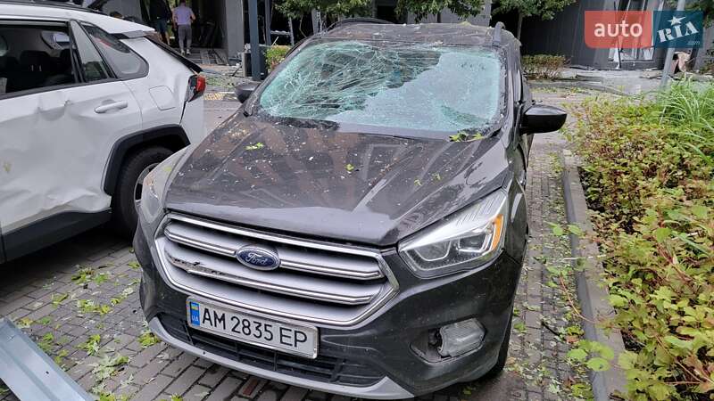 Внедорожник / Кроссовер Ford Escape 2017 в Емильчине