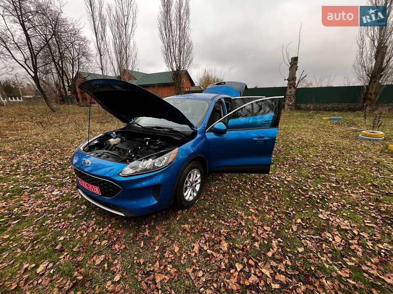 Позашляховик / Кросовер Ford Escape 2020 в Саврані