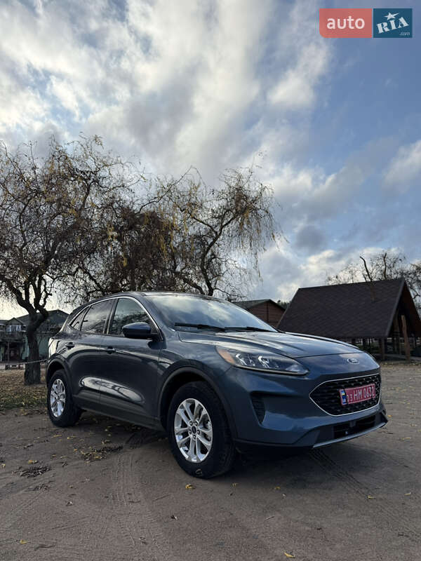 Внедорожник / Кроссовер Ford Escape 2020 в Джулинке фото 6 Внедорожник / Кроссовер Ford Escape 2020 в Джулинке