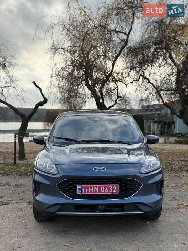 Внедорожник / Кроссовер Ford Escape 2020 в Джулинке фото 7 Внедорожник / Кроссовер Ford Escape 2020 в Джулинке