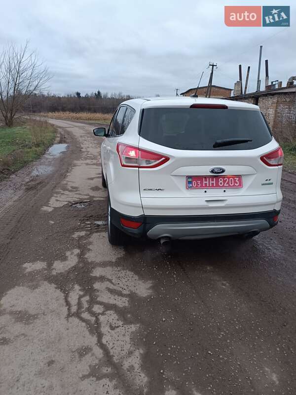 Внедорожник / Кроссовер Ford Escape 2014 в Радивилове фото 5 Внедорожник / Кроссовер Ford Escape 2014 в Радивилове