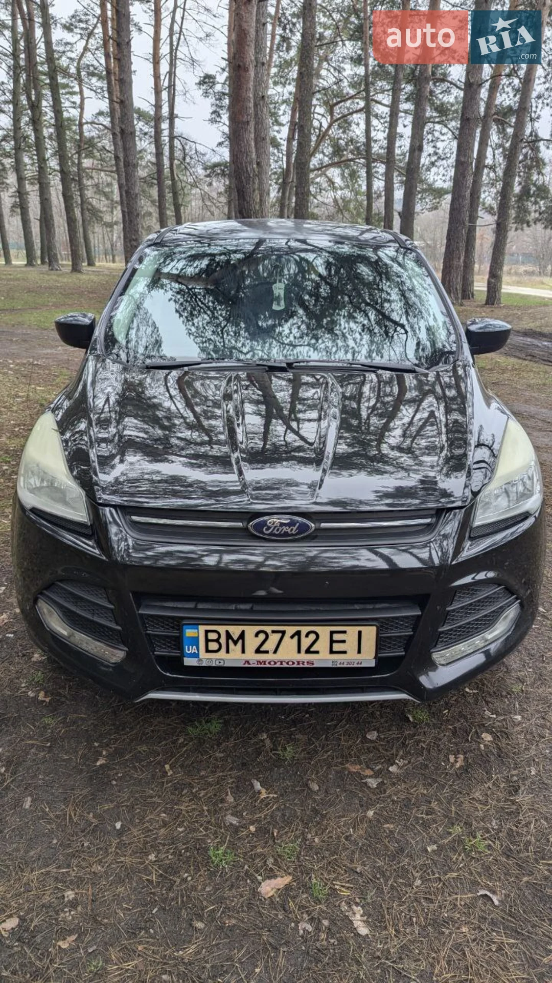 2015 Ford Escape - мініатюра 2