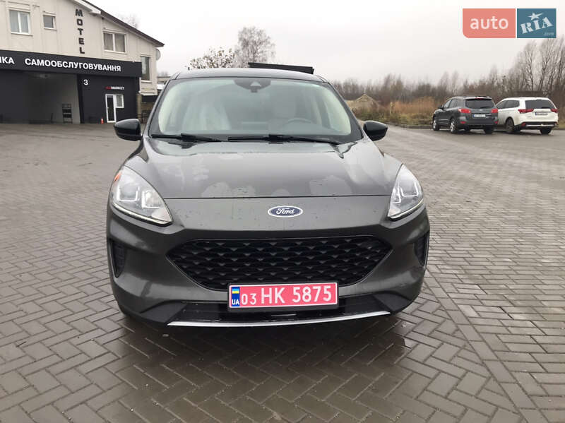 Позашляховик / Кросовер Ford Escape 2020 в Шептицькому фото 21 Позашляховик / Кросовер Ford Escape 2020 в Шептицькому