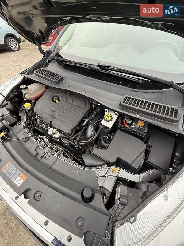 Позашляховик / Кросовер Ford Escape 2016 в Сумах фото 30 Позашляховик / Кросовер Ford Escape 2016 в Сумах