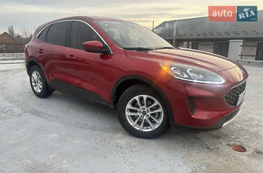 Внедорожник / Кроссовер Ford Escape 2019 в Киеве