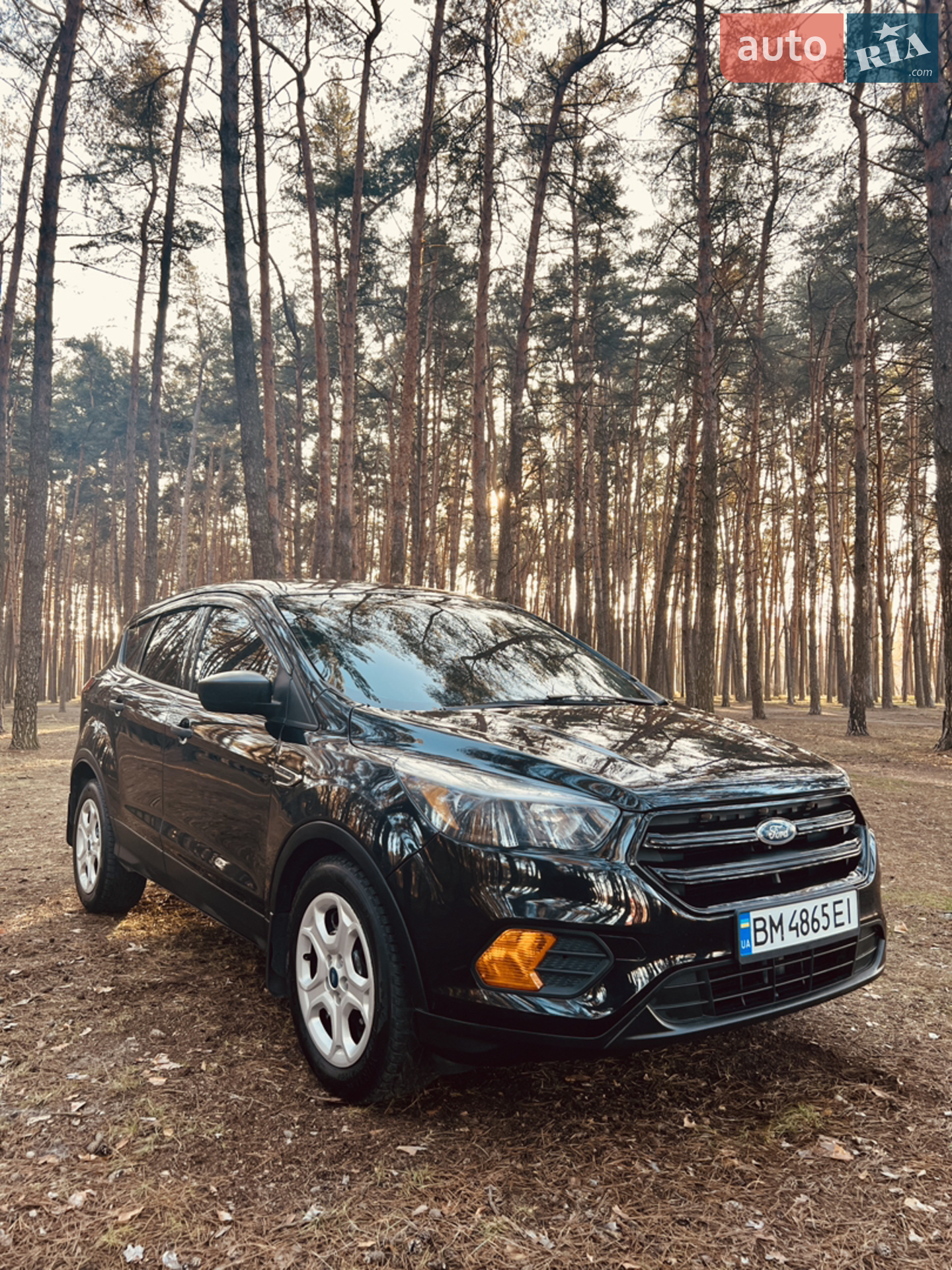 2019 Ford Escape - мініатюра 2