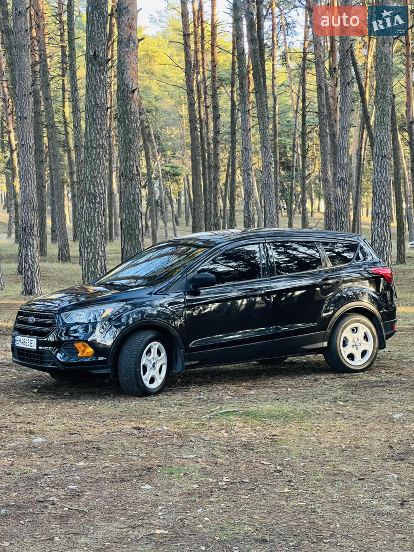 2019 Ford Escape - мініатюра 10
