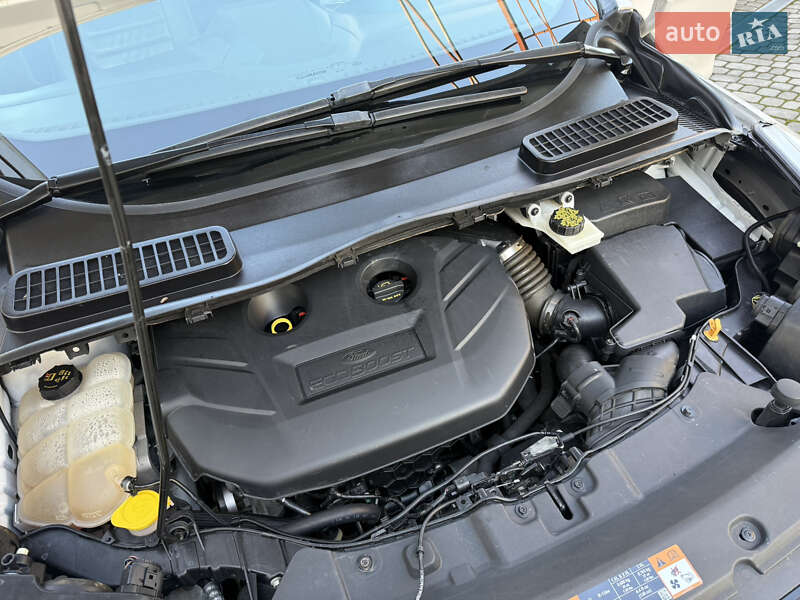 Внедорожник / Кроссовер Ford Escape 2016 в Дрогобыче фото 81 Внедорожник / Кроссовер Ford Escape 2016 в Дрогобыче