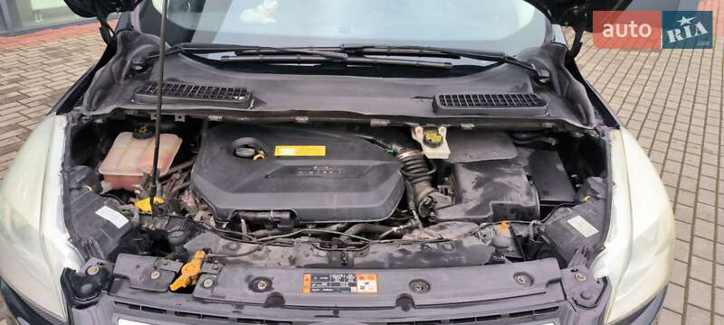 Позашляховик / Кросовер Ford Escape 2016 в Львові фото 45 Позашляховик / Кросовер Ford Escape 2016 в Львові