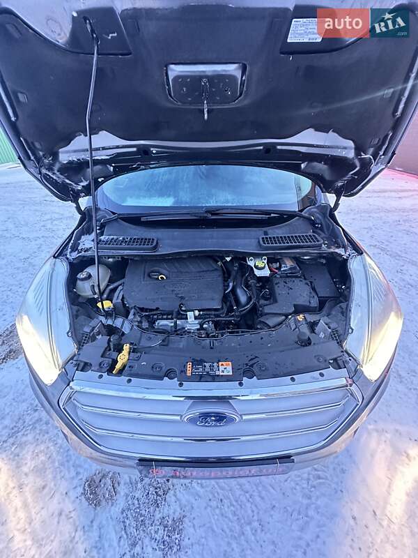 Позашляховик / Кросовер Ford Escape 2016 в Білогородці фото 45 Позашляховик / Кросовер Ford Escape 2016 в Білогородці