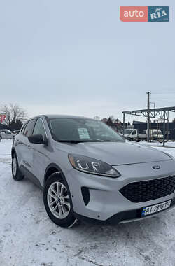 Внедорожник / Кроссовер Ford Escape 2022 в Белой Церкви