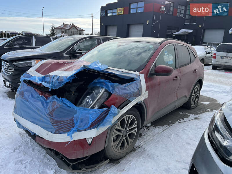 Внедорожник / Кроссовер Ford Escape 2020 в Львове