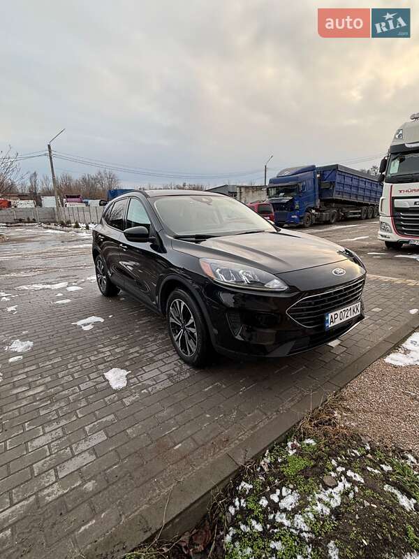 Внедорожник / Кроссовер Ford Escape 2021 в Запорожье