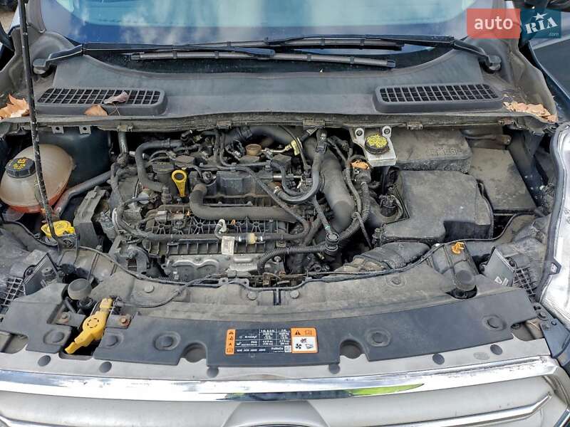 Внедорожник / Кроссовер Ford Escape 2019 в Киеве