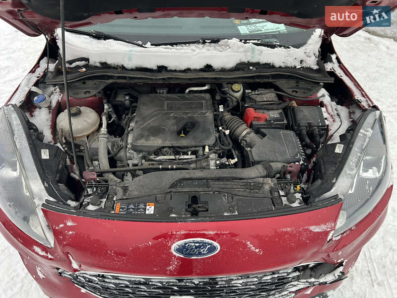 Внедорожник / Кроссовер Ford Escape 2020 в Львове