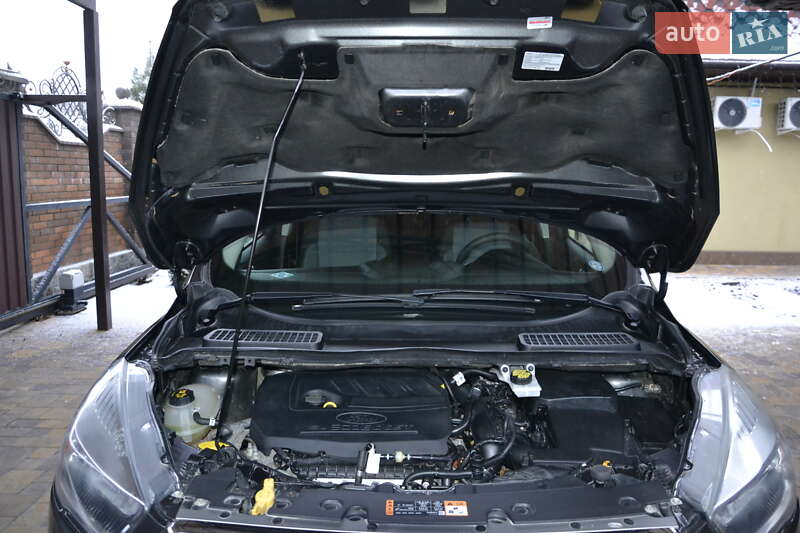Внедорожник / Кроссовер Ford Escape 2017 в Полтаве фото 30 Внедорожник / Кроссовер Ford Escape 2017 в Полтаве