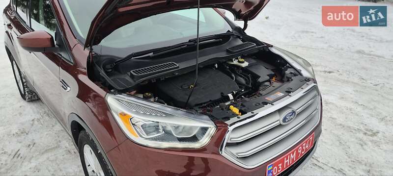 Позашляховик / Кросовер Ford Escape 2018 в Дубні фото 37 Позашляховик / Кросовер Ford Escape 2018 в Дубні