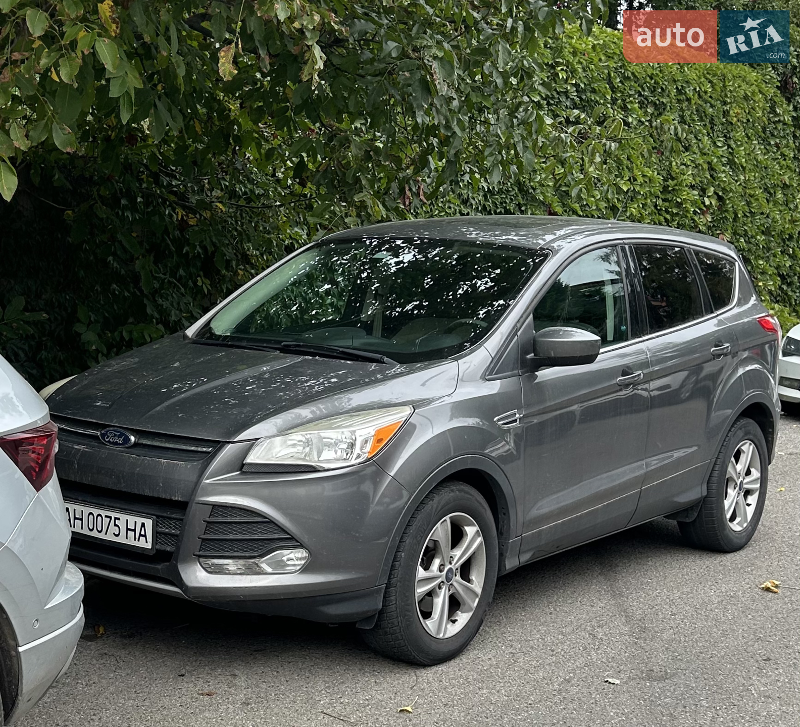 2013 Ford Escape - мініатюра 2