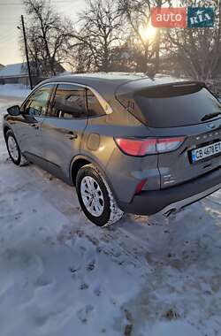 Внедорожник / Кроссовер Ford Escape 2020 в Чернигове