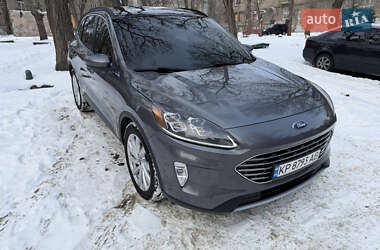 Внедорожник / Кроссовер Ford Escape 2021 в Запорожье