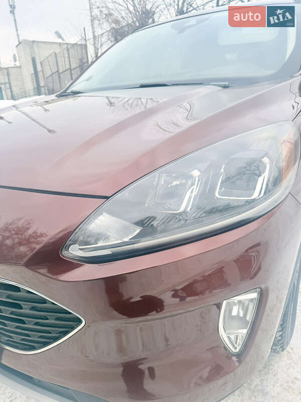 Внедорожник / Кроссовер Ford Escape 2021 в Львове