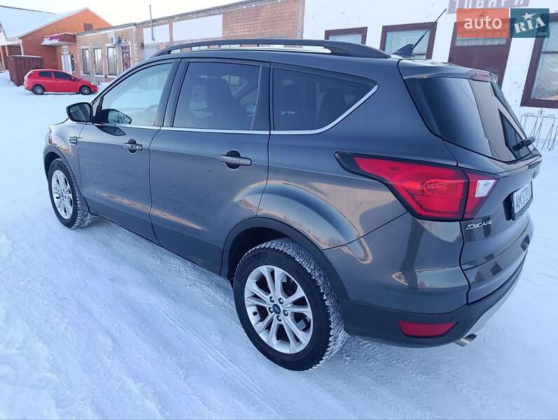 Внедорожник / Кроссовер Ford Escape 2019 в Киеве фото 3 Внедорожник / Кроссовер Ford Escape 2019 в Киеве