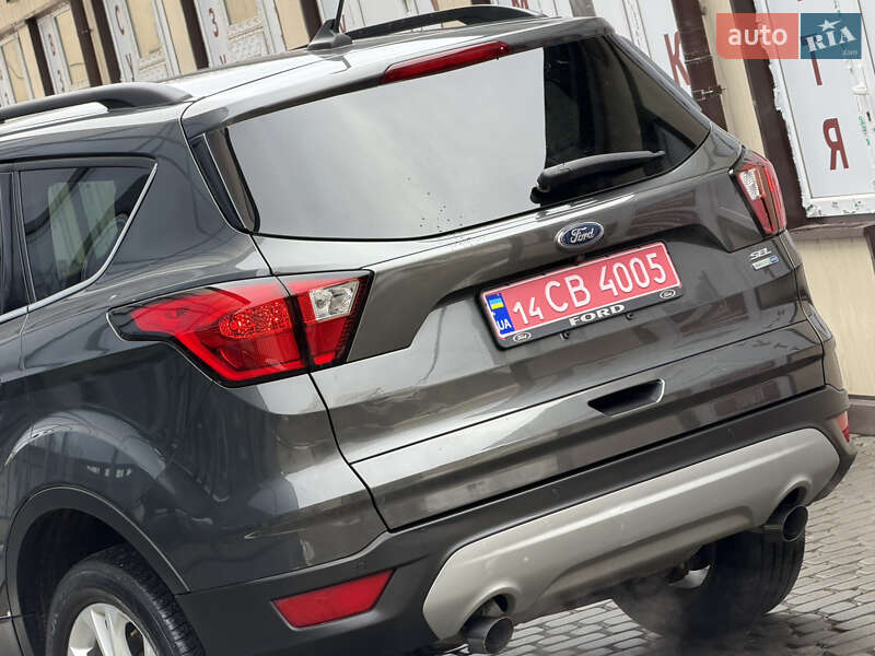 Позашляховик / Кросовер Ford Escape 2019 в Дрогобичі