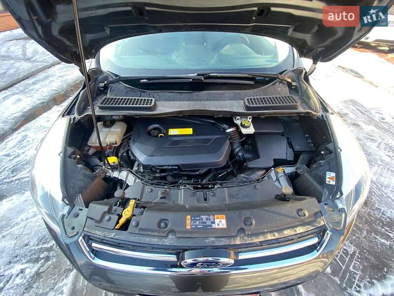 Внедорожник / Кроссовер Ford Escape 2015 в Виннице фото 11 Внедорожник / Кроссовер Ford Escape 2015 в Виннице