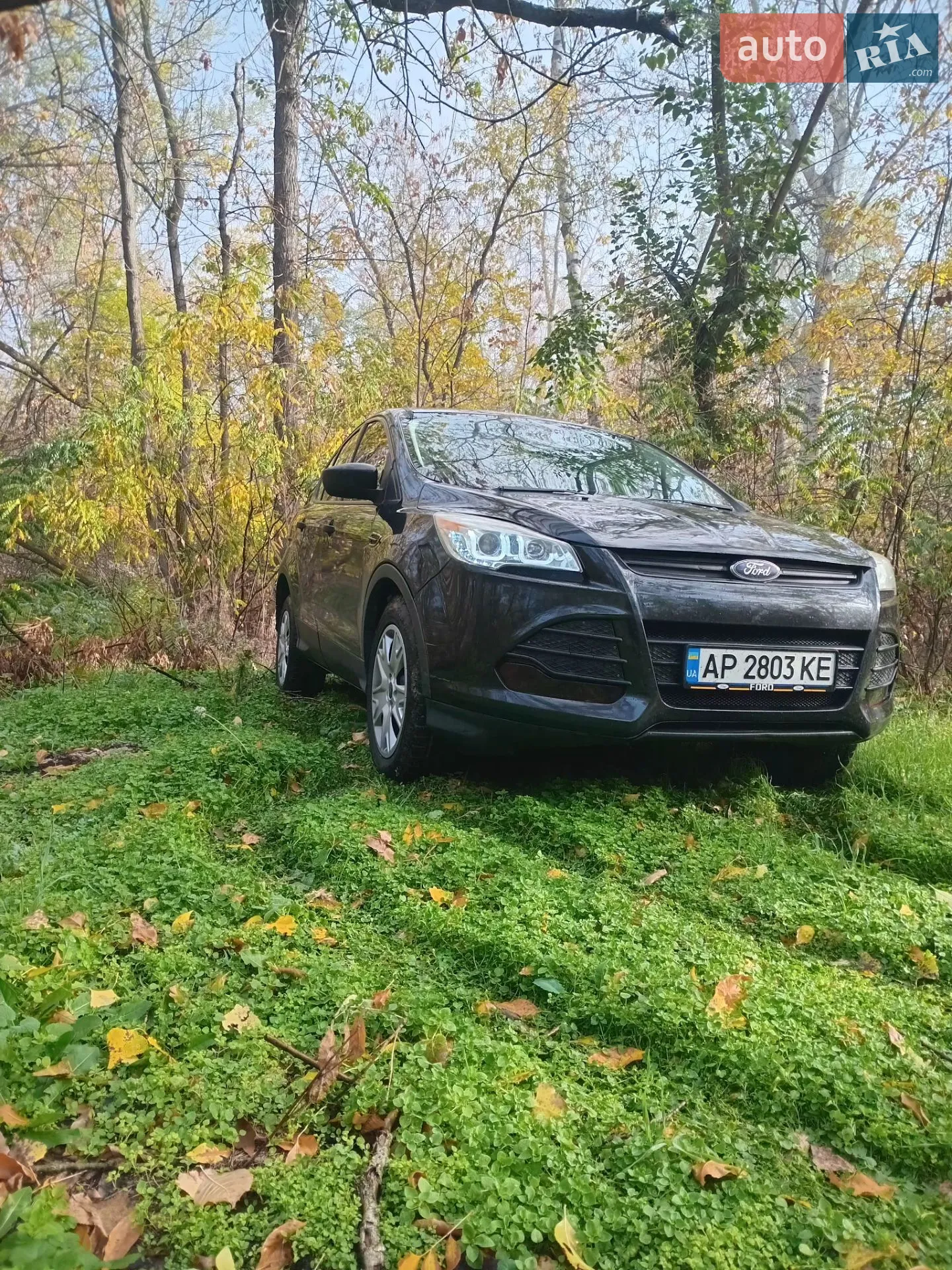 2012 Ford Escape - мініатюра 10