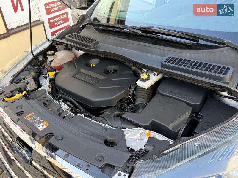 Внедорожник / Кроссовер Ford Escape 2017 в Дрогобыче фото 66 Внедорожник / Кроссовер Ford Escape 2017 в Дрогобыче