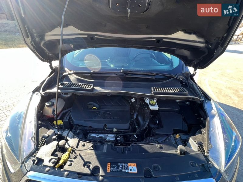 Внедорожник / Кроссовер Ford Escape 2018 в Львове