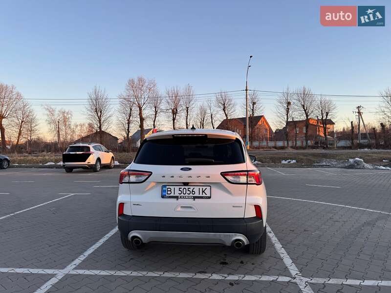 Внедорожник / Кроссовер Ford Escape 2019 в Вышгороде