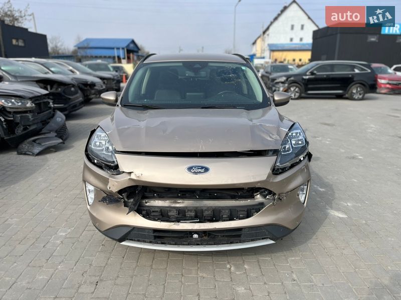 Позашляховик / Кросовер Ford Escape 2020 в Львові