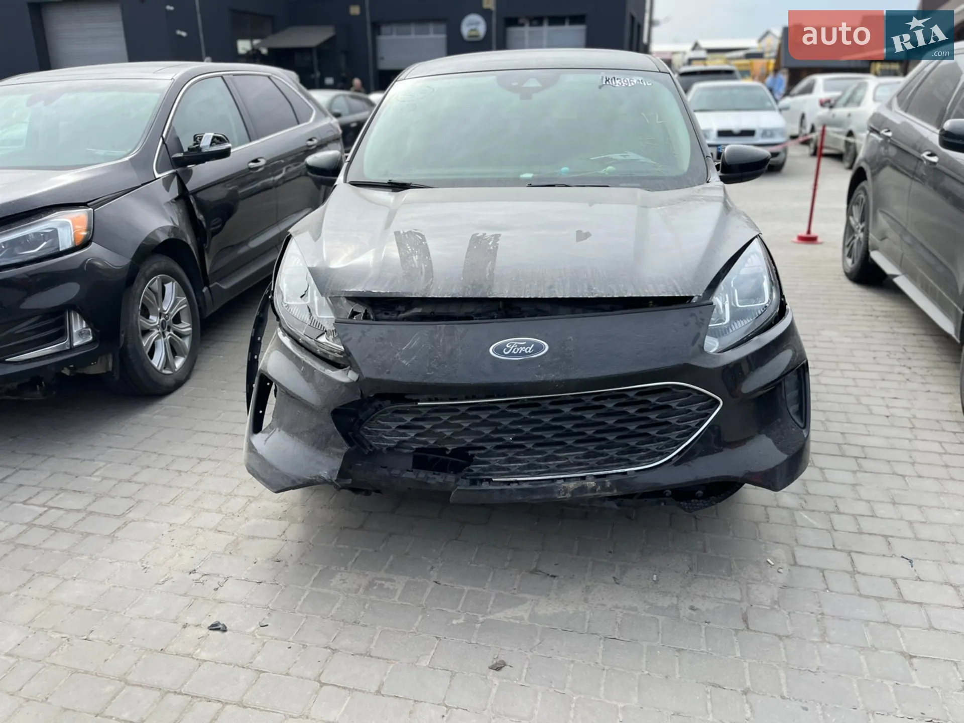 2019 Ford Escape - мініатюра 2