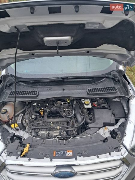 Позашляховик / Кросовер Ford Escape 2017 в Соснівці