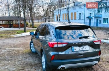 Внедорожник / Кроссовер Ford Escape 2020 в Глухове фото 24 Внедорожник / Кроссовер Ford Escape 2020 в Глухове