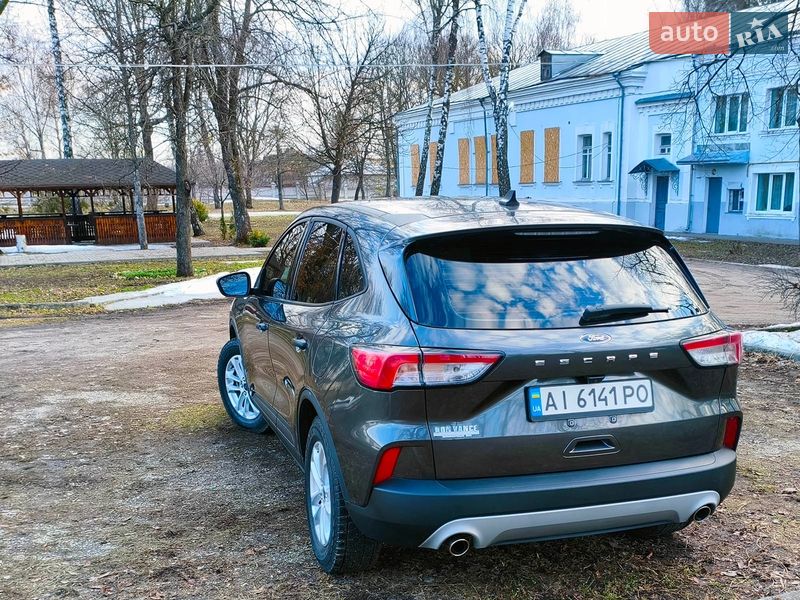 Внедорожник / Кроссовер Ford Escape 2020 в Глухове фото 24 Внедорожник / Кроссовер Ford Escape 2020 в Глухове