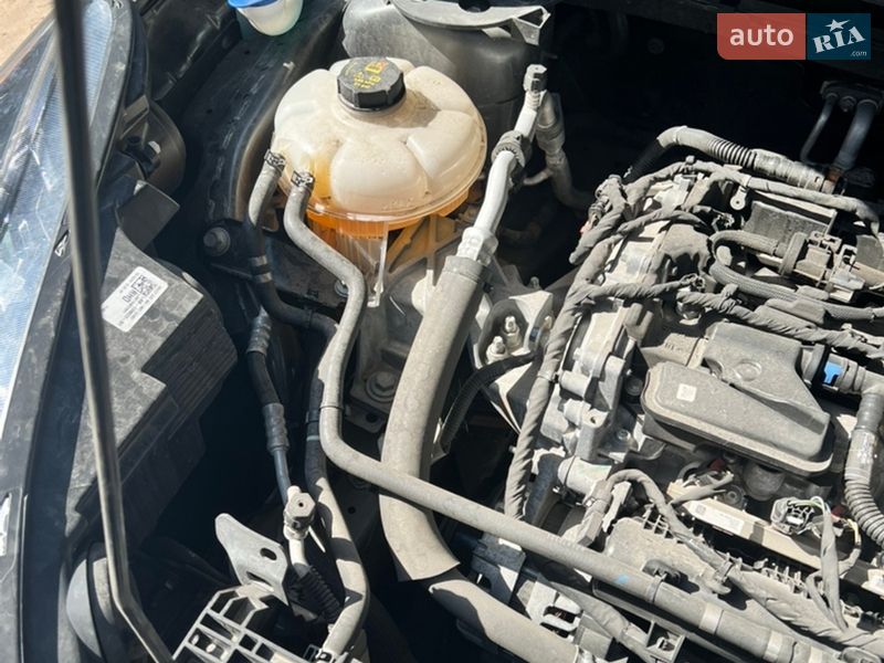 Позашляховик / Кросовер Ford Escape 2020 в Запоріжжі