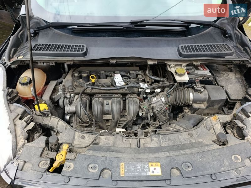 Позашляховик / Кросовер Ford Escape 2018 в Надвірній