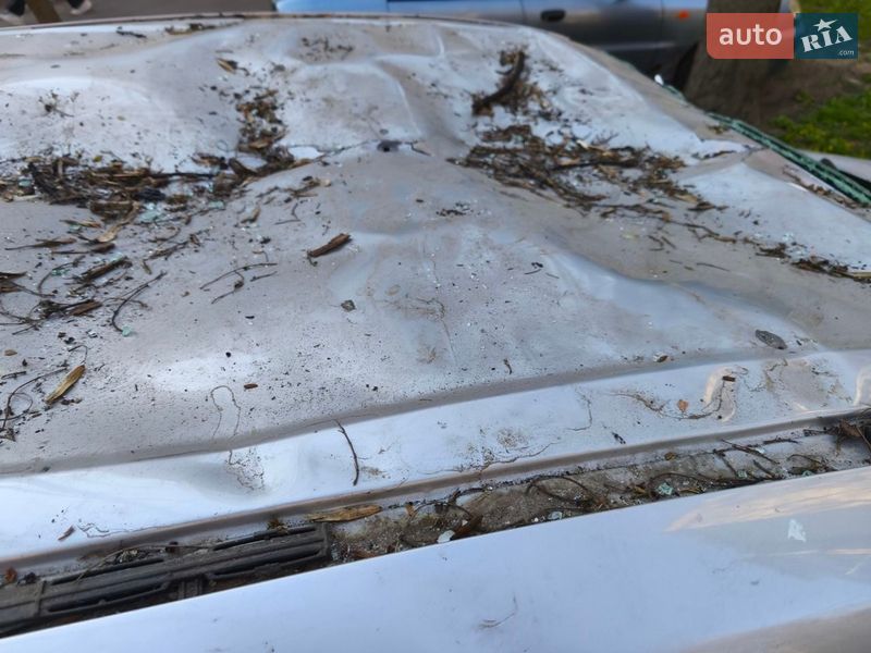 Позашляховик / Кросовер Ford Escape 2019 в Одесі