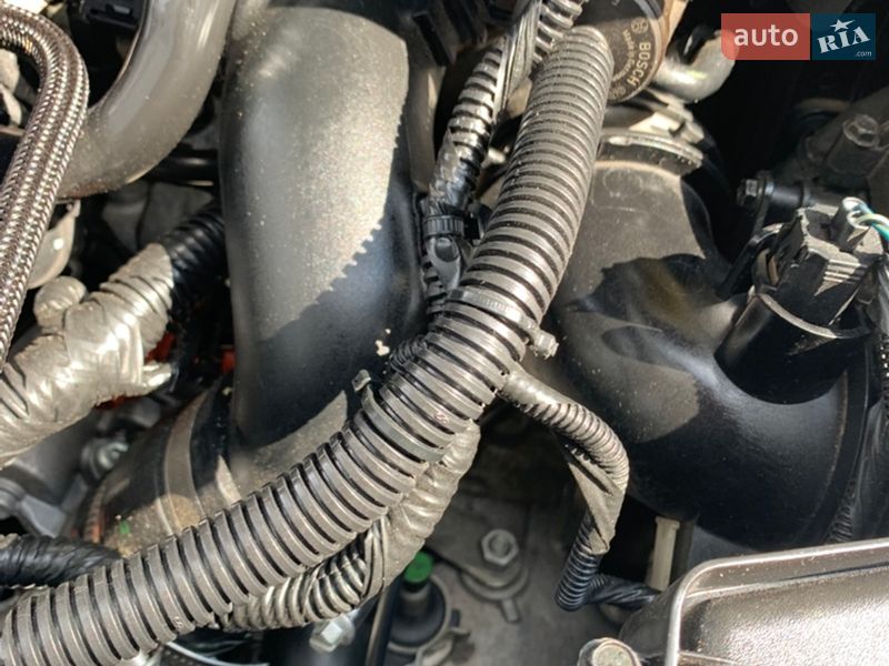 Позашляховик / Кросовер Ford Escape 2017 в Дубні фото 27 Позашляховик / Кросовер Ford Escape 2017 в Дубні