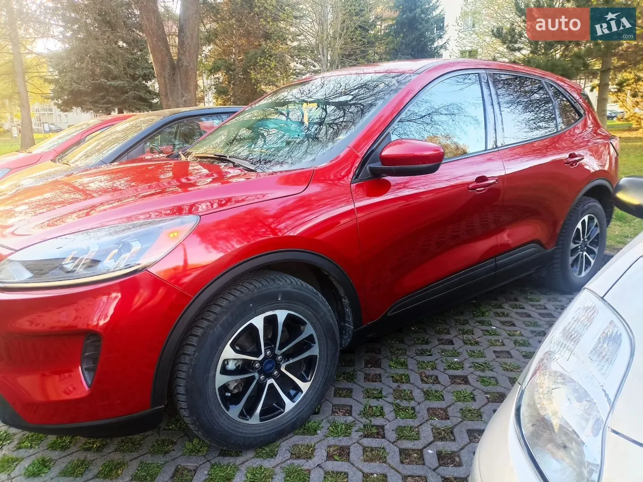 2019 Ford Escape - мініатюра 16