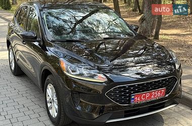 Позашляховик / Кросовер Ford Escape 2020 в Брюховичах