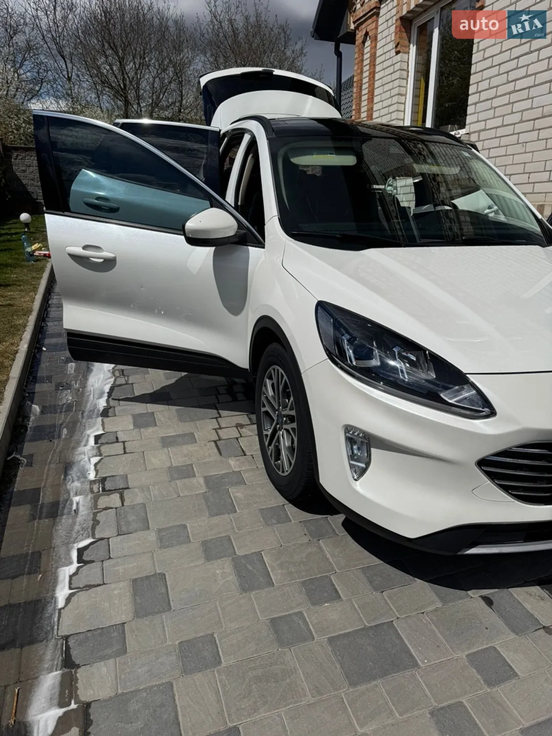 2019 Ford Escape - мініатюра 2
