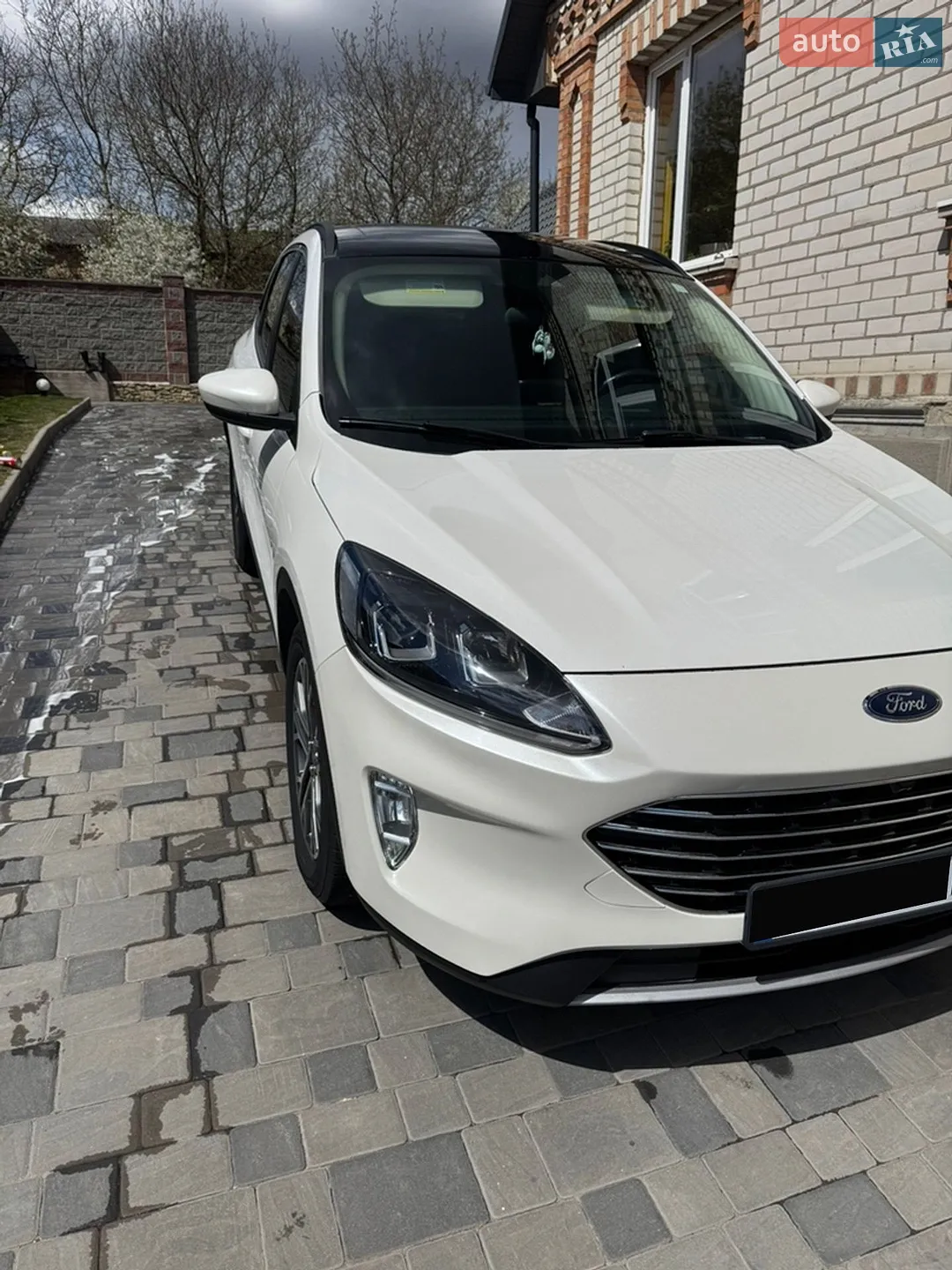2019 Ford Escape - мініатюра 3