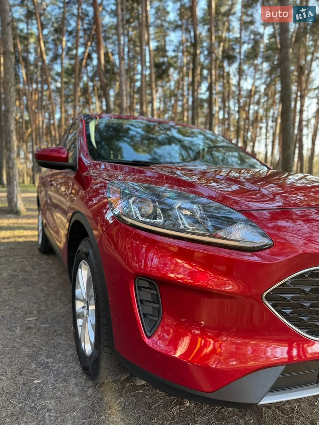 2020 Ford Escape - мініатюра 3